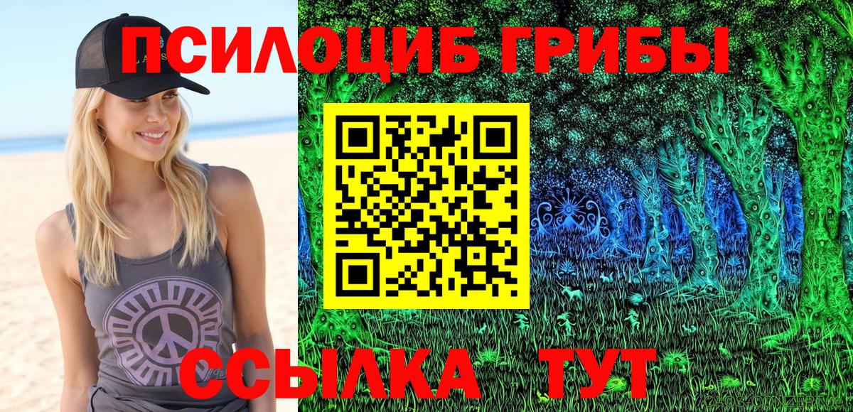 Псилоцибиновые грибы Cubensis  где купить наркотик  Южно-Сахалинск  Псилоцибиновые грибы ЛСД  Вход с VPN 